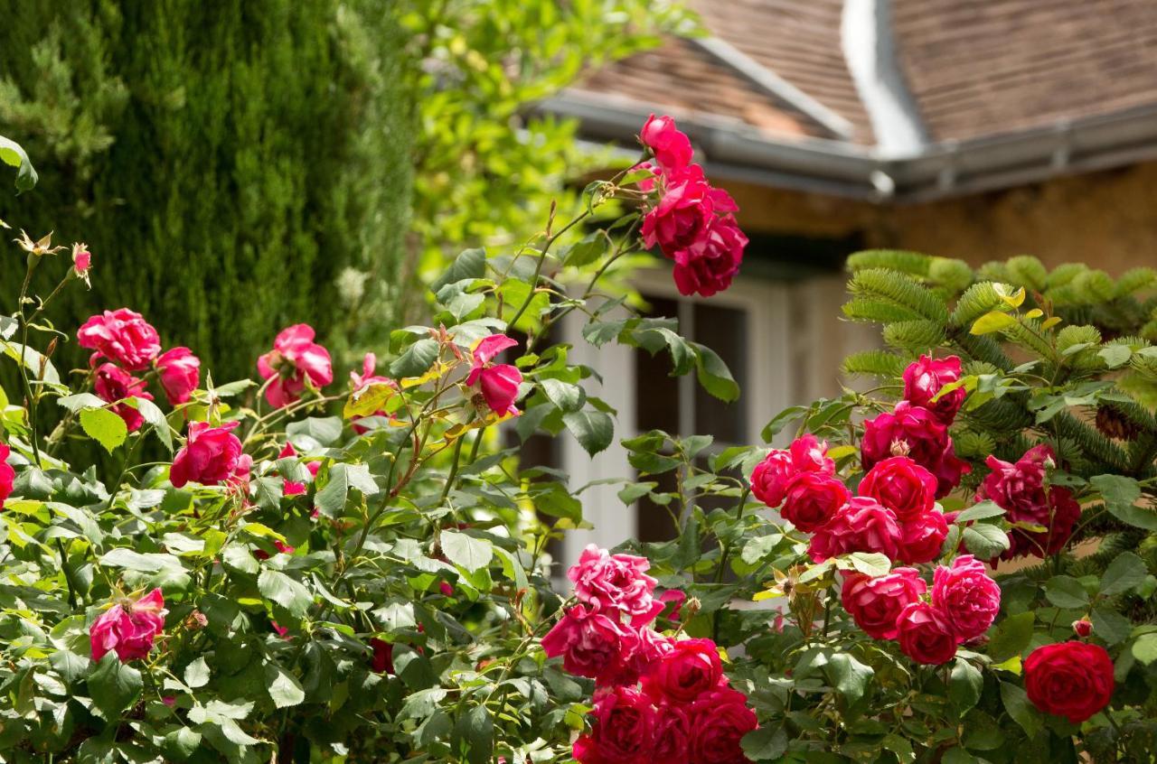 Hotel La Roseraie เชอนงโซ ภายนอก รูปภาพ